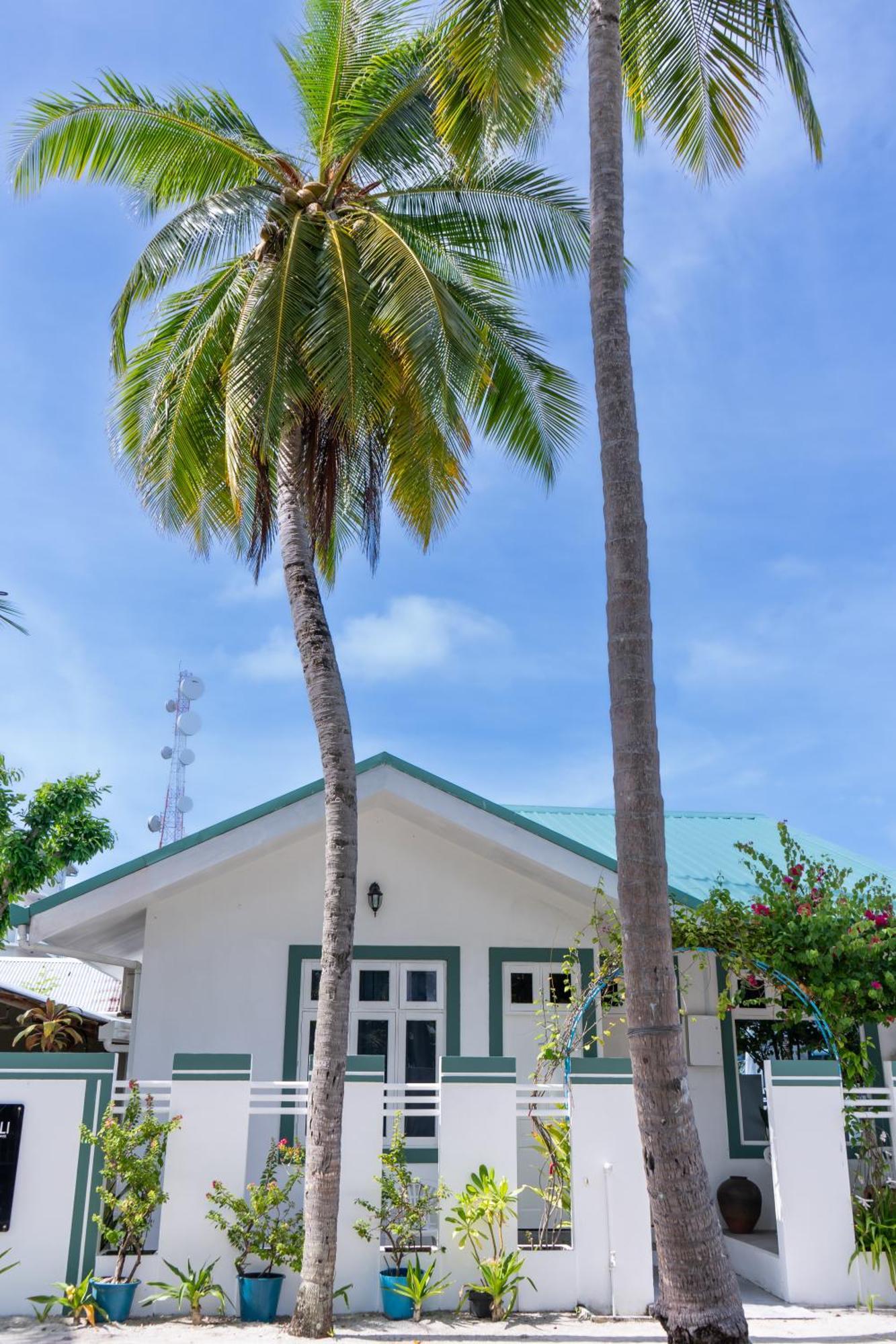 Vaali Beach&Dive Lodge Maldives Felidhoo Buitenkant foto